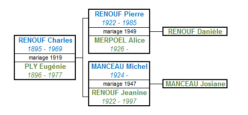 arbre-renouf